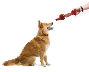 Ball with Cotton Rope Toy