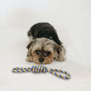 Double Loops Knoted Tug And Fetch Cotton Rope Toy