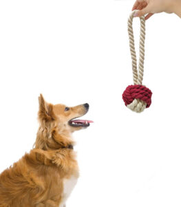 Knot Ball Natural Cotton Rope Toy with Pulling Loop